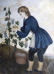 Domaine des Coteaux du Val de Sorne